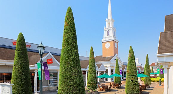 <新宿発・西船橋発> たっぷり2時間滞在!あしかがフラワーパーク・夢ライナー ~日本三大イルミネーション「光の花の庭」 と アウトレットでお買い物♪~3